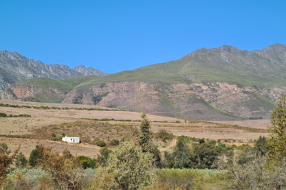 Mardouw - XXV Medium Extra Virgin Olive Oil - Cold Pressed