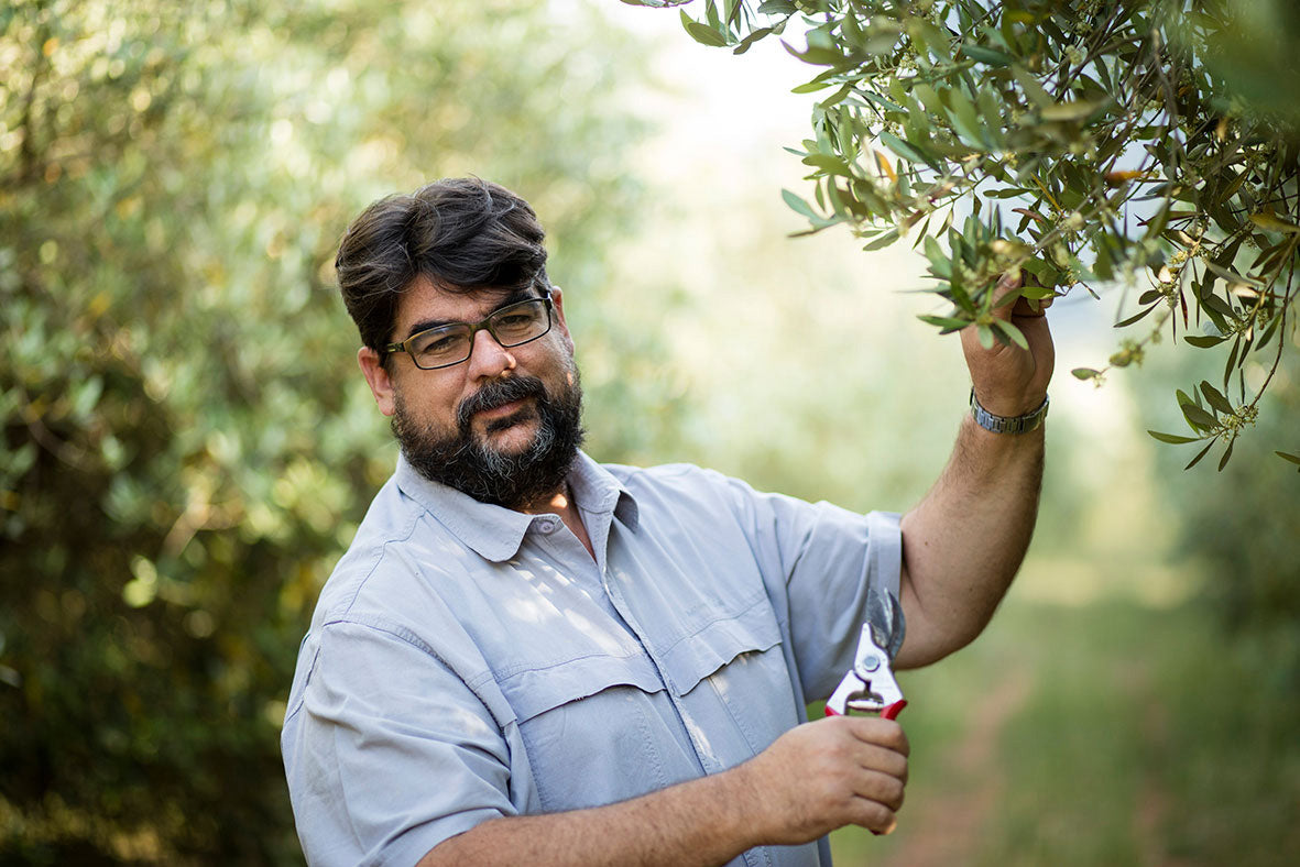 Tokara - Frantoio Extra Virgin Olive Oil - Cold Extracted