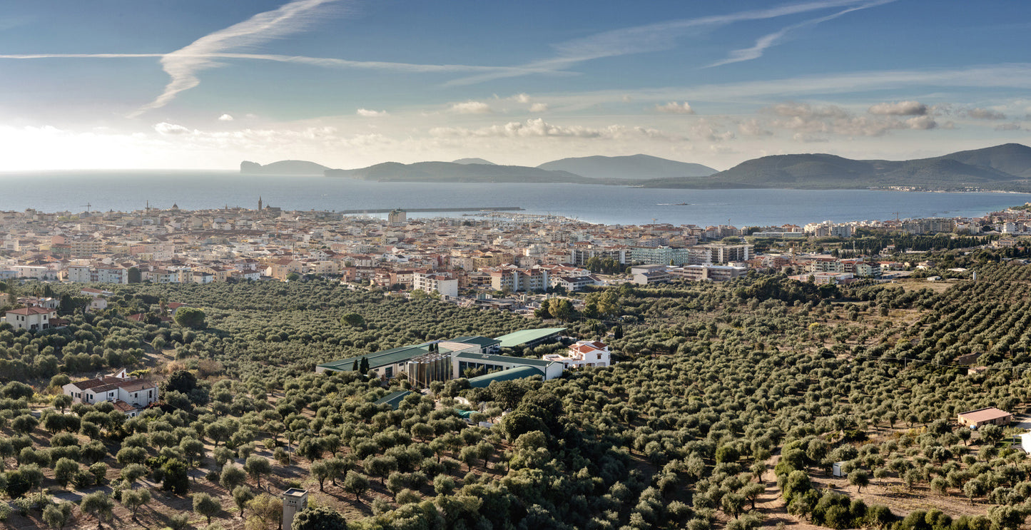 San Giuliano Cuor D'Olivo Fruttato